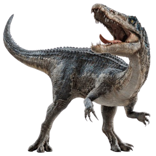 whatsapp image 2025 12 30 at 11.29.13 pm removebg preview